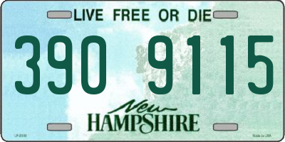 NH license plate 3909115