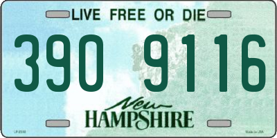 NH license plate 3909116