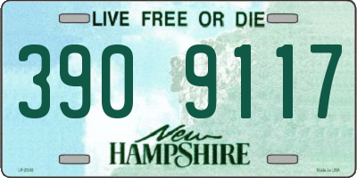 NH license plate 3909117