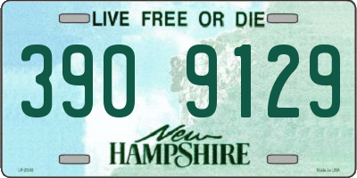 NH license plate 3909129