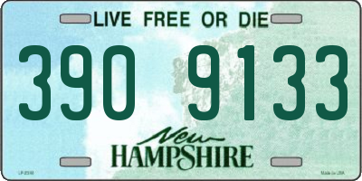 NH license plate 3909133