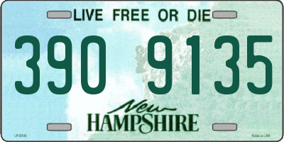 NH license plate 3909135