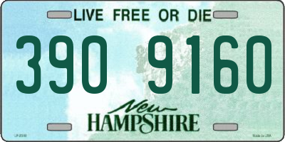 NH license plate 3909160