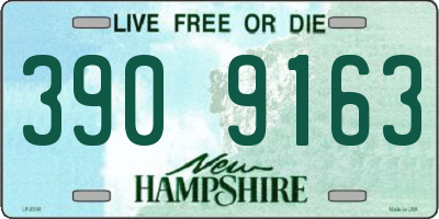 NH license plate 3909163