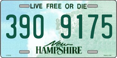 NH license plate 3909175