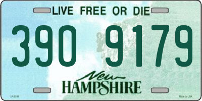 NH license plate 3909179