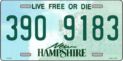 NH license plate 3909183
