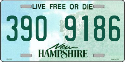 NH license plate 3909186