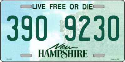 NH license plate 3909230