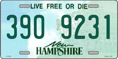 NH license plate 3909231