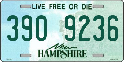 NH license plate 3909236
