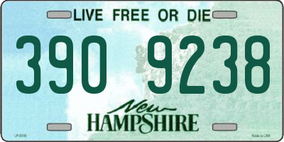 NH license plate 3909238
