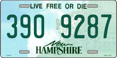 NH license plate 3909287
