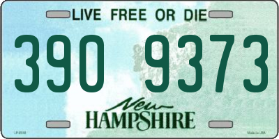 NH license plate 3909373