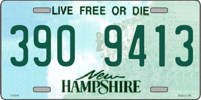 NH license plate 3909413