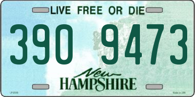 NH license plate 3909473