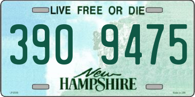 NH license plate 3909475