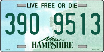 NH license plate 3909513