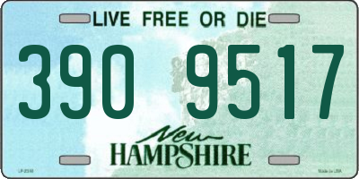 NH license plate 3909517