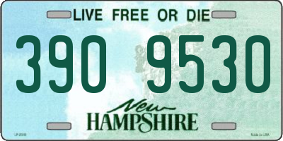 NH license plate 3909530