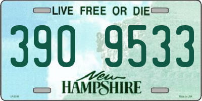 NH license plate 3909533