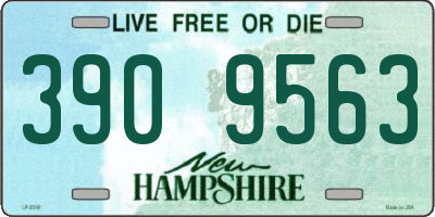 NH license plate 3909563