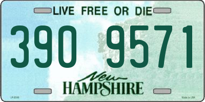 NH license plate 3909571