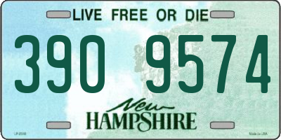 NH license plate 3909574