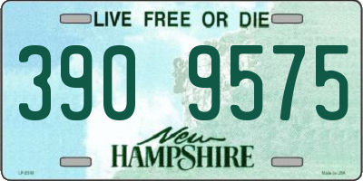 NH license plate 3909575