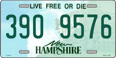 NH license plate 3909576