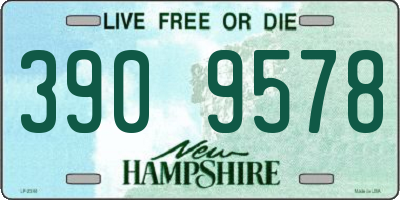 NH license plate 3909578