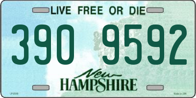 NH license plate 3909592