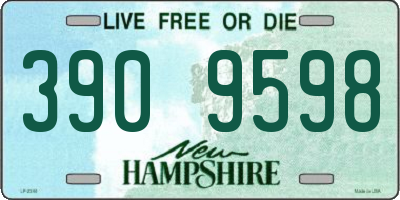 NH license plate 3909598