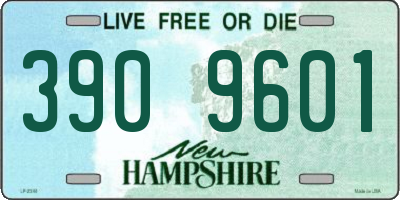 NH license plate 3909601