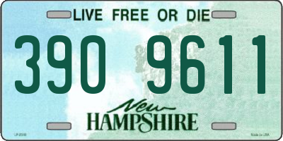 NH license plate 3909611