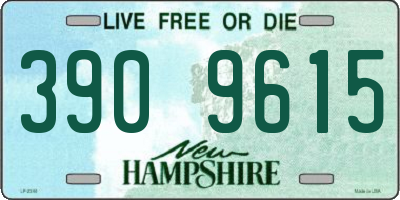 NH license plate 3909615