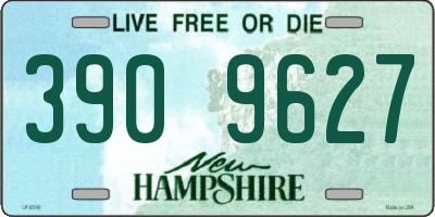 NH license plate 3909627