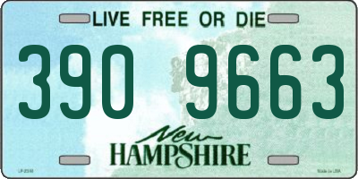 NH license plate 3909663