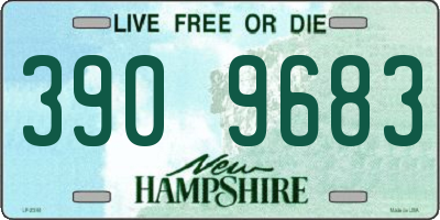 NH license plate 3909683