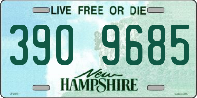 NH license plate 3909685