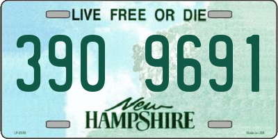 NH license plate 3909691