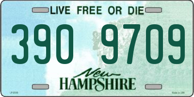NH license plate 3909709