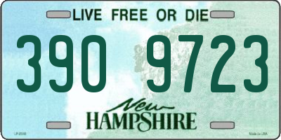NH license plate 3909723