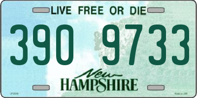 NH license plate 3909733