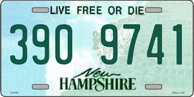 NH license plate 3909741