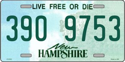 NH license plate 3909753