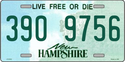 NH license plate 3909756