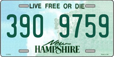 NH license plate 3909759