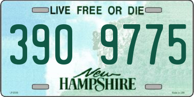 NH license plate 3909775