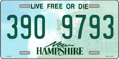 NH license plate 3909793
